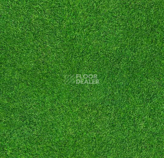 Ковролин ForboFlotex Vision Image 000369 Grass фото 1 | FLOORDEALER